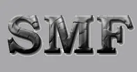 logo So Much To Fear